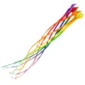 Produktbild: Drachenschwanz HQ Soft Swirl Rainbow 3 m - 8 Colours 126452 Regenbogen 43 x 300