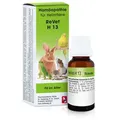 Produktbild: Revet H 13 Globuli f.Heimtiere 10 g