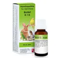 Produktbild: ReVet® H 13 Globuli für Heimtiere