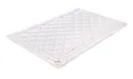 Produktbild: Paradies Sommerdecke 135x200 cm Cool Comfort Bio - Die aktive Kühldecke