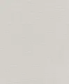 Produktbild: Vlies Tapete Uni Design hellgrau Tapete Rasch Hotspot 804331 (2,94€/1qm)