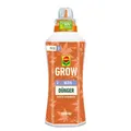 Produktbild: COMPO GROW Blüte Dünger 1l