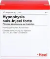 Produktbild: HYPOPHYSIS SUIS Injeel forte Ampullen 1,1 ml