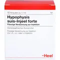 Produktbild: HYPOPHYSIS SUIS Injeel forte Ampullen 10 St
