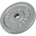 Produktbild: GORILLA SPORTS® Hantelscheiben - Set/Einzeln, 0,5/1,25/2/2,5/5/10/15/20/25/30 kg Gewichte, 30/31 mm, Gusseisen, Silber/Schwarz - Gewichtsscheiben, Bumper Plates