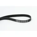 Produktbild: CONTINENTAL CTAM Keilrippenriemen 6pk905extra für BMW DS MINI