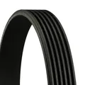 Produktbild: CONTINENTAL CTAM Keilrippenriemen 6PK905 EXTRA für CITROËN MINI PEUGEOT