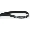 Produktbild: ContiTech 6PK905 EXTRA Keilrippenriemen für PEUGEOT CITROEN MINI C4 C4 GRAND C5