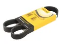 Produktbild: Für CONTITECH 6 PK 905 EXTRA V-ribbed Belt 6 PK 905 EXTRA Multi-V-belt (6PK905)