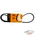 Produktbild: 1x Original CONTINENTAL CTAM 6PK905 EXTRA Keilrippenriemen