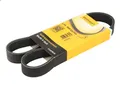 Produktbild: Keilrippenriemen CONTITECH 6PK905 EXTRA PEUGEOT RCZ 1.6 2010-2015