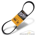 Produktbild: CONTI KEILRIPPENRIEMEN FÜR CITROEN BERLINGO C3 C4 C5 MINI PEUGEOT 207 308 5008