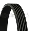 Produktbild: Original CONTINENTAL - 6PK905EXTRA - Keilrippenriemen