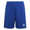 Produktbild: adidas Unisex Kinder Entrada 22 Shorts, Royal Blue, 15-16 Years