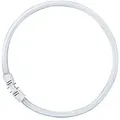 Produktbild: Osram Leuchtstoff Ringlampe T5 Fc40w 830 2gx13 Circular