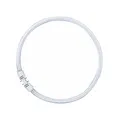 Produktbild: Osram Leuchtstofflampe T5 FC 40W 830 Circline Ringröhre Lumilux warmweiß 2GX13