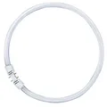 Produktbild: Osram Leuchtstoff Ringlampe T5 FC40W 830 2GX13 Circular