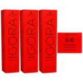 Produktbild: Schwarzkopf Igora Royal 3 x 60 ml 6-0 dunkelblond Haarfarbe Cremefarbe Set