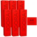 Produktbild: Schwarzkopf Igora Royal 6 x 60 ml 6-0 dunkelblond Haarfarbe Cremefarbe Set