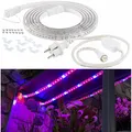 Produktbild: Lunartec LED-Pflanzen-Wachstums-Streifen rot & blau, 3 m, kürzbar, mit Netzteil