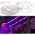 Produktbild: Lunartec 9 Meter LED-Pflanzen-Wachstums-Streifen, rot & blau, mit Netzteil