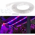 Produktbild: Lunartec LED-Pflanzen-Wachstums-Streifen, 150 rote & 30 blaue LEDs, 3m, kürzbar