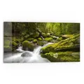 Produktbild: DEQORI Küchenrückwand 'Sattgrüne Waldkulisse', Glas Spritzschutz Badrückwand Herdblende grün 80 cm x 40 cm