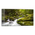 Produktbild: DEQORI Küchenrückwand Glas | Motiv Sattgrüne Waldkulisse | 80x40 cm | Bad- oder Herd-Rückwand | Herdblende Spritzschutz für Küche & Badezimmer | moderne Deko für Fliesenspiegel