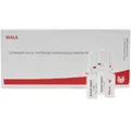 Produktbild: Wala® Platinum chloratum/Pancreas comp.