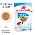 Produktbild: Royal Canin SHN Mini Puppy Gravy 1x1,02kg