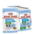 Produktbild: SHN Mini Puppy in sauce - wet puppy food - 12X85g