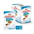 Produktbild: Royal Canin Frischebeutel Mini Puppy in Soße 12 x 85g