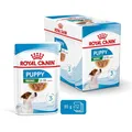 Produktbild: 12x85 g ROYAL CANIN Mini Puppy Nassfutter für kleine Hundewelpen in Soße
