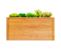 Produktbild: Hochbeet Gemüsebeet Lärchenholz Blumenbeet Pflanzbeet Kräuterbeet Westmann