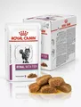 Produktbild: 12x85g Royal Canin Veterinary Diet Renal Fish– Diät-Nassfutter für Katzen
