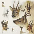 Produktbild: Servietten Lunch 33x33 cm 3-lagig 20 Servietten Portraits Of Deer Hirsche Rehe