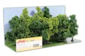 Produktbild: Heki 1995 Laubwald 12 Bäume 11-13 cm Neu OVP