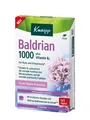 Produktbild: Baldrian 1.000 mg Tabletten - Nahrungsergänzung bei Unruhezuständen und Stres...