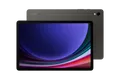Produktbild: Samsung Galaxy Tab S9 Wi-Fi 256 GB  Graphite