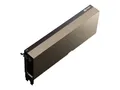Produktbild: Nvidia 900-21001-0000-000 Module II price incl VAT 3 yr warranty* B2B