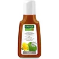 Produktbild: Rausch Anti-Schuppen-Shampoo mit Huflattich 40 ml