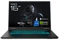 Produktbild: GAMING A16 CWHI3DEC94SH (grau, Intel® Core? i7-13620H, NVIDIA GeForce RTX 5070, 16 GB DDR5, 1 TB (1 TB SSD), Windows 11 Home)