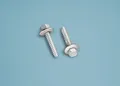 Produktbild: Terrasse2000 Doppelstegplatte 32 x 6,3mm Edelstahlschrauben 20 Stück je Packung, Silber