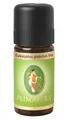Produktbild: Primavera Eukalyptus globulus Bio 10ml - stärkend, besser durchatmen, reinigend