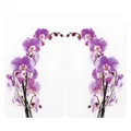 Produktbild: WENKO Herdabdeckplatte Universal Mod. Orchideenblüte, höhenverstellbar für alle Herdarten, Schneidebrett und Spritzschutz, Glas, 30 x 52 cm, 2-teilig