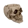 Produktbild: 78/5723 Polyresin-Aschenbecher Totenkopf circa 12 cm