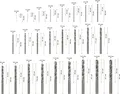 Produktbild: BOSCH Metallbohrer-Set ProBox HSS-G 25-teilig 2608587017