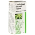 Produktbild: Carminativum Hetterich Balance Tropfen z 20 ml