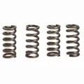 Produktbild: EBC Kupplungsfedern CSK122 für Suzuki M(VZR) 1800 R 2007 CA1111 125 PS