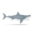 Produktbild: schleich® Dinosaurs Megalodon
